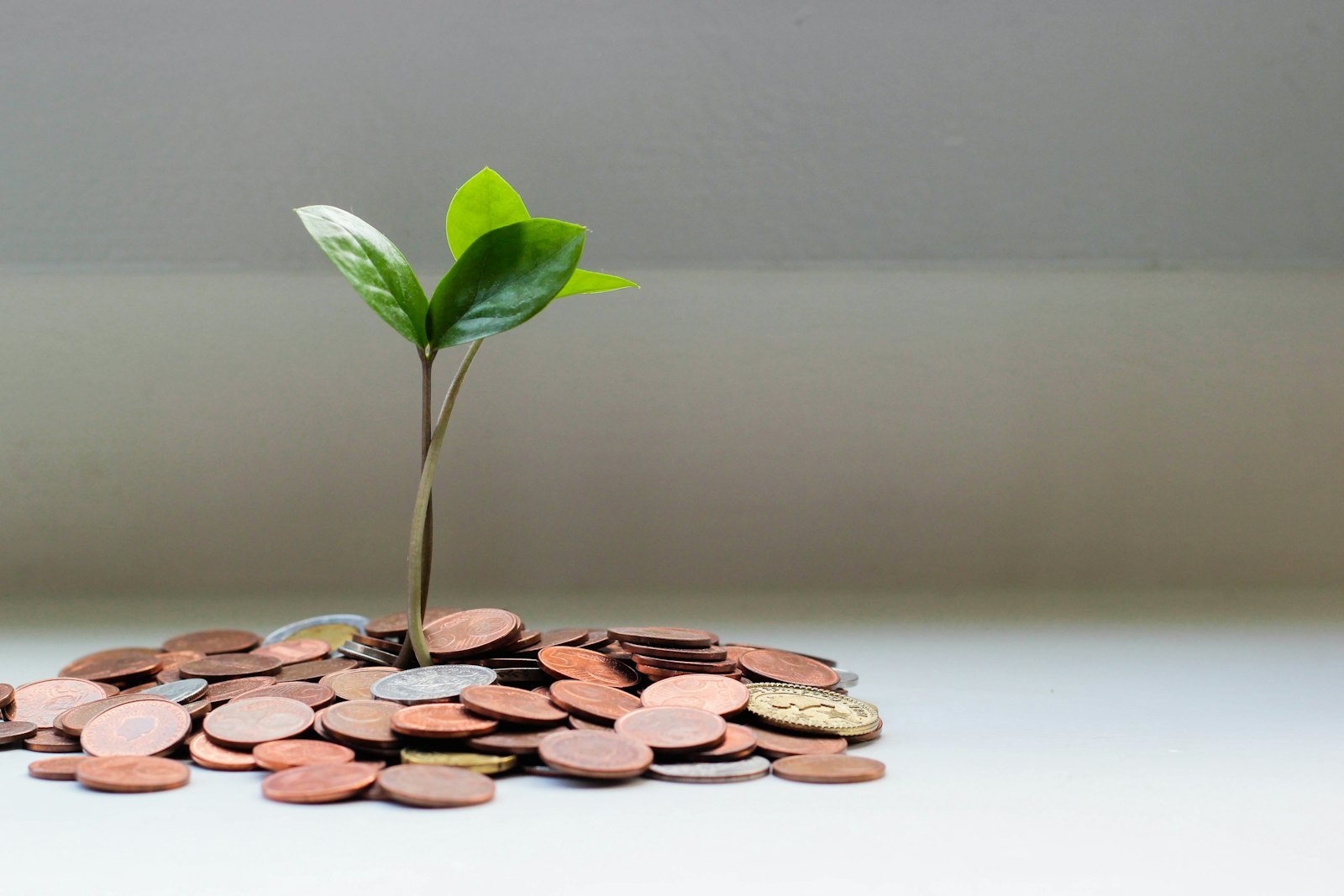 Young plant growing from a jar of saved coins
